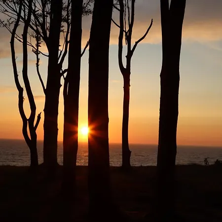 Róża Wiatrów Leśny Klif Apartament Debina (Ustka)