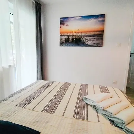 Roza Wiatrow Lesny Klif Debina (Ustka)