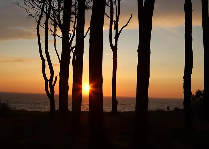 Róża Wiatrów Leśny Klif Apartament Debina (Ustka)