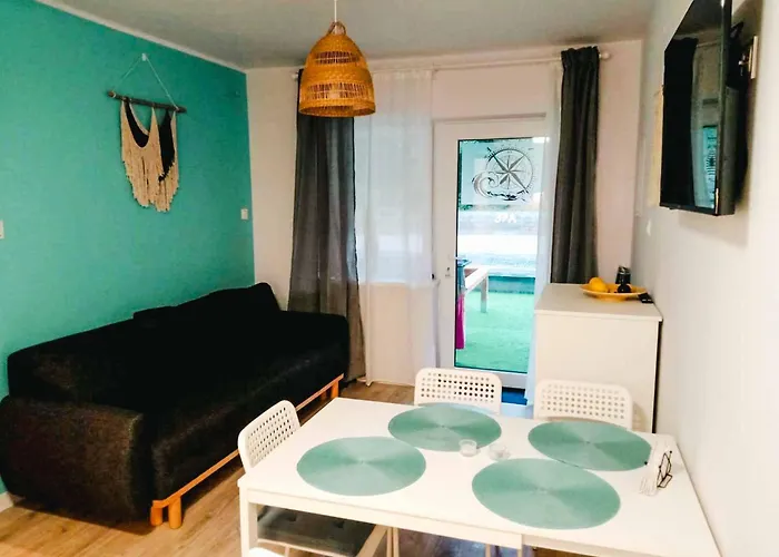 Róża Wiatrów Leśny Klif *