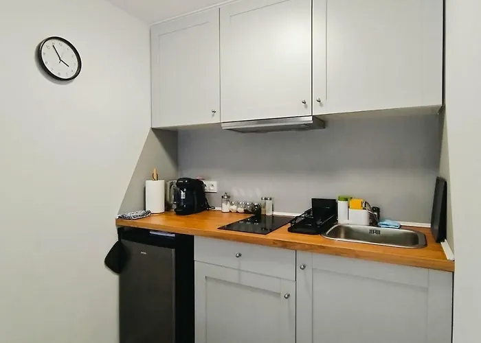 Róża Wiatrów Leśny Klif Debina (Ustka)