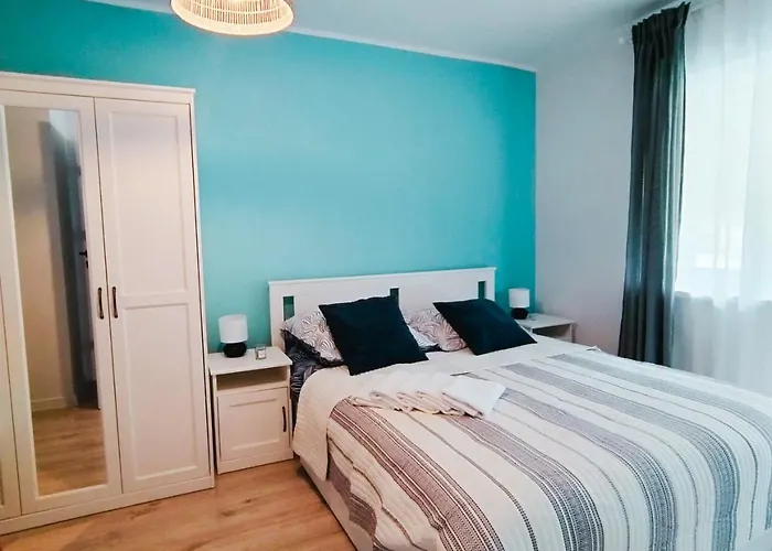 Róża Wiatrów Leśny Klif