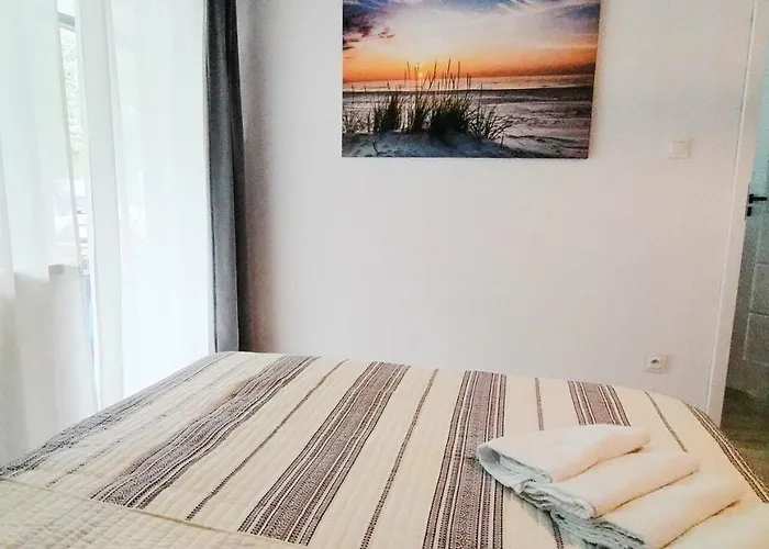 Róża Wiatrów Leśny Klif Debina (Ustka)